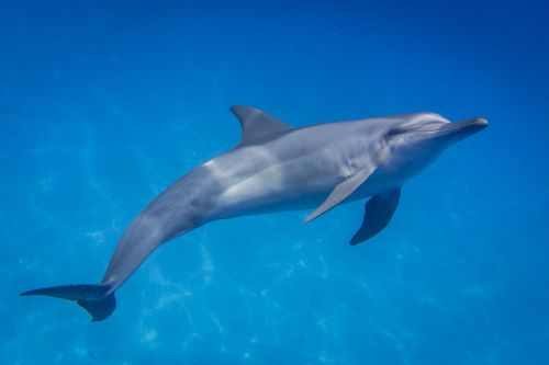 cocos keeling island photo tour example 11
